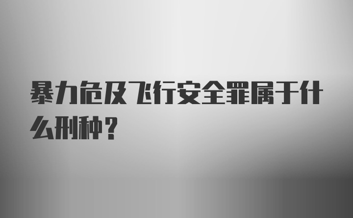 暴力危及飞行安全罪属于什么刑种？