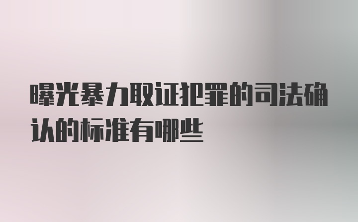 曝光暴力取证犯罪的司法确认的标准有哪些