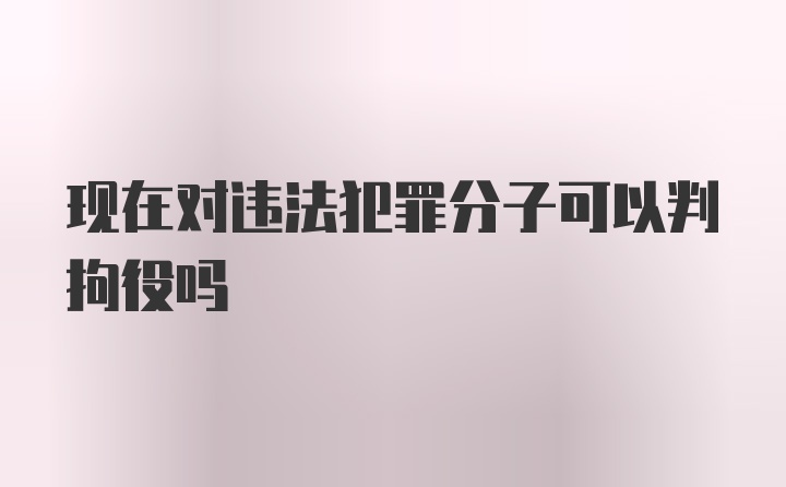 现在对违法犯罪分子可以判拘役吗