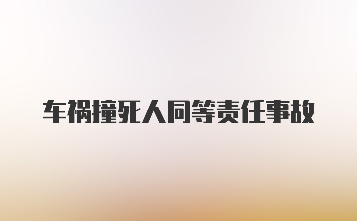 车祸撞死人同等责任事故