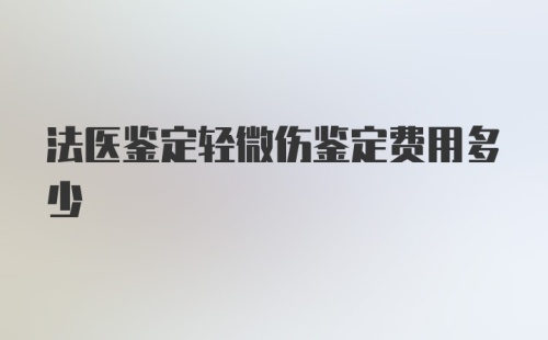 法医鉴定轻微伤鉴定费用多少