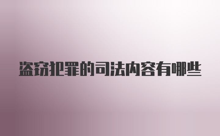 盗窃犯罪的司法内容有哪些