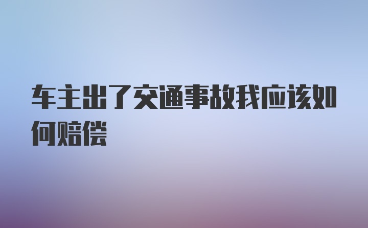 车主出了交通事故我应该如何赔偿