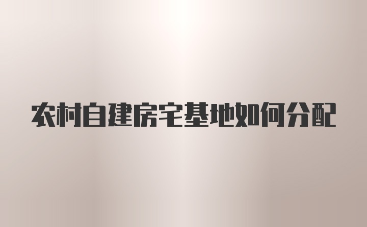 农村自建房宅基地如何分配