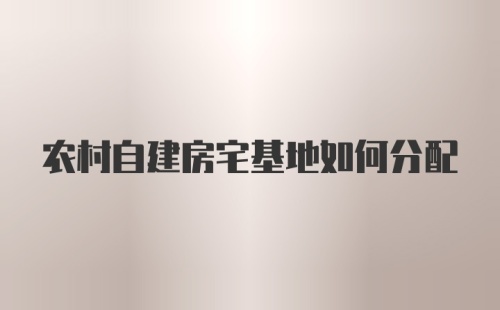 农村自建房宅基地如何分配