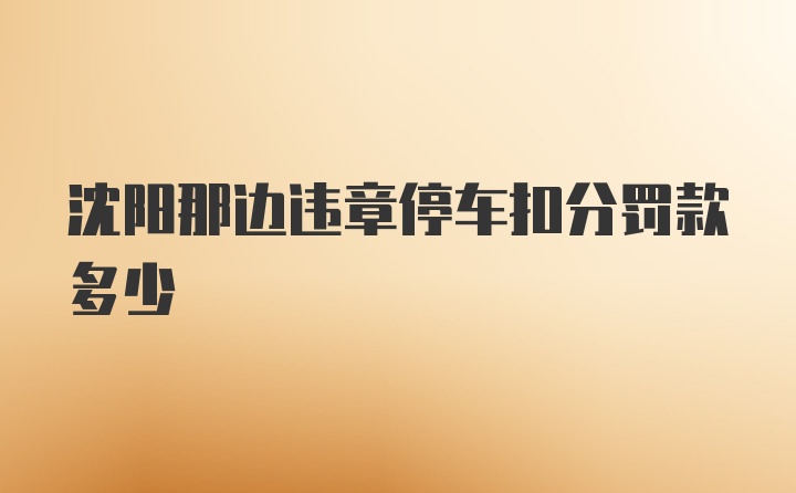 沈阳那边违章停车扣分罚款多少