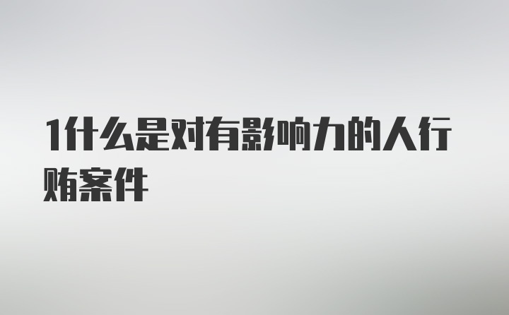 1什么是对有影响力的人行贿案件