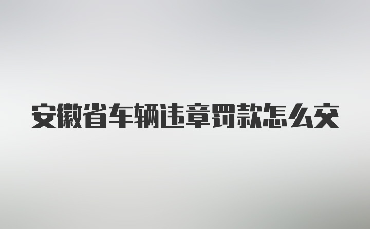 安徽省车辆违章罚款怎么交