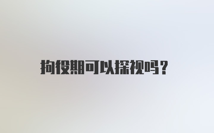 拘役期可以探视吗？