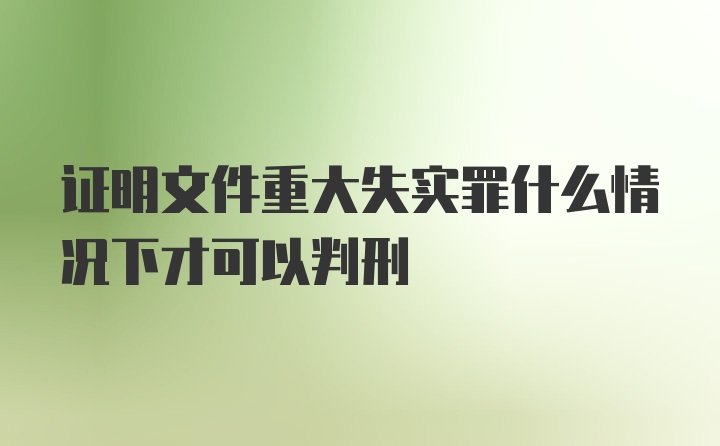 证明文件重大失实罪什么情况下才可以判刑