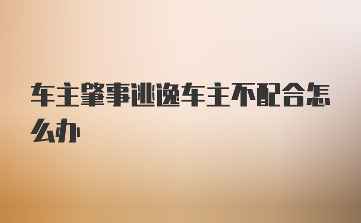 车主肇事逃逸车主不配合怎么办