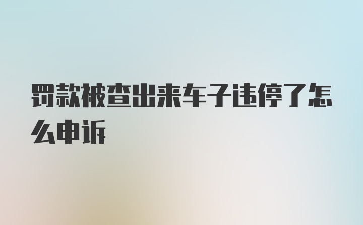 罚款被查出来车子违停了怎么申诉