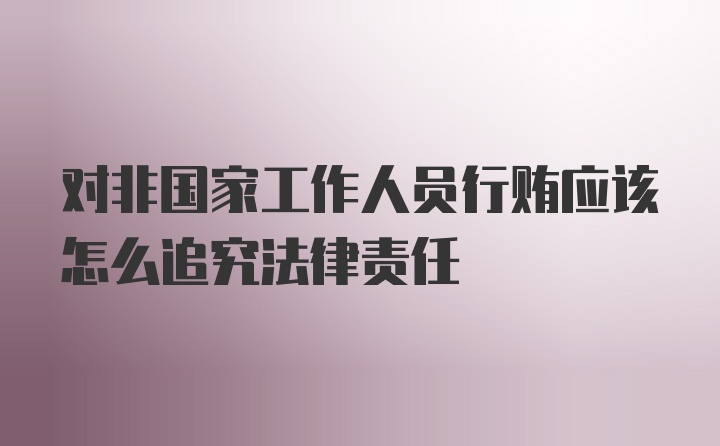 对非国家工作人员行贿应该怎么追究法律责任