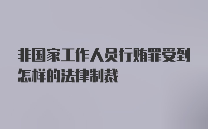 非国家工作人员行贿罪受到怎样的法律制裁