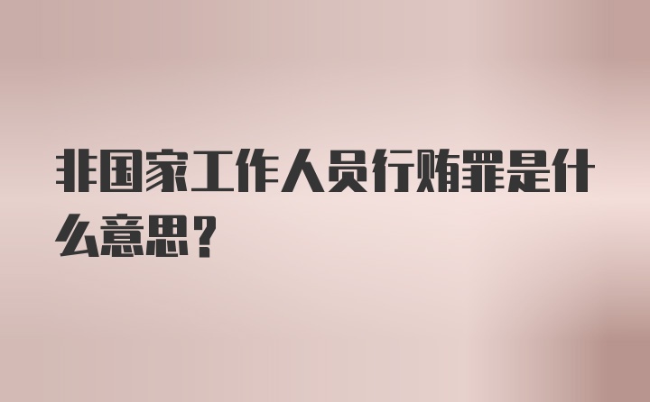 非国家工作人员行贿罪是什么意思？