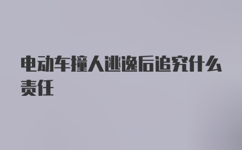 电动车撞人逃逸后追究什么责任