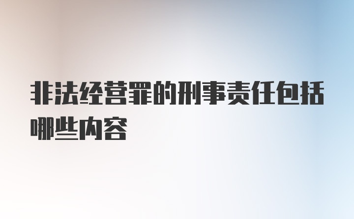 非法经营罪的刑事责任包括哪些内容