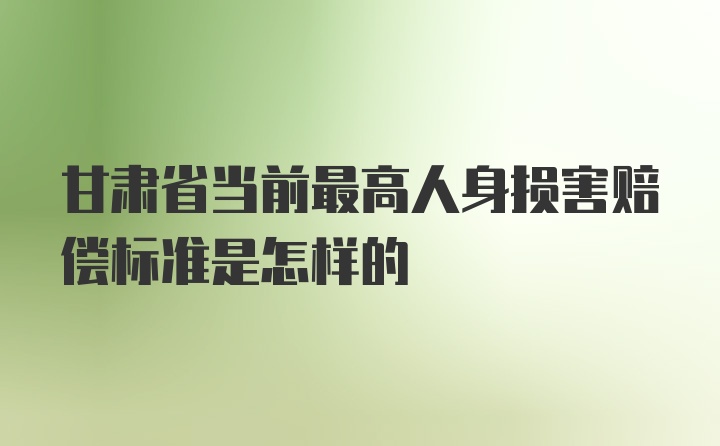 甘肃省当前最高人身损害赔偿标准是怎样的