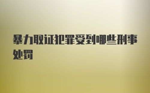 暴力取证犯罪受到哪些刑事处罚