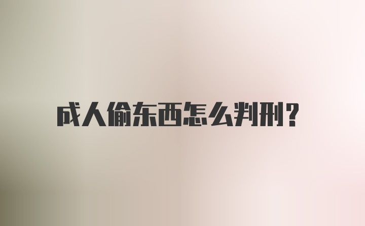 成人偷东西怎么判刑?