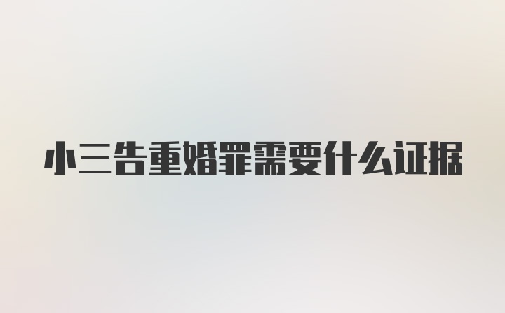 小三告重婚罪需要什么证据