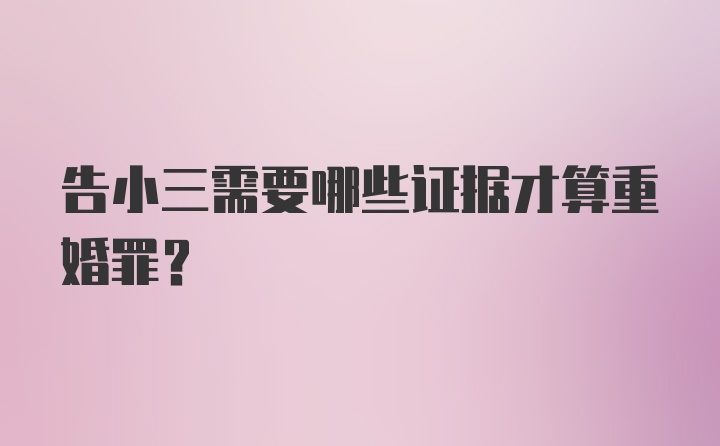 告小三需要哪些证据才算重婚罪？