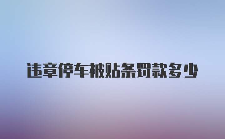 违章停车被贴条罚款多少