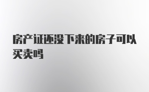 房产证还没下来的房子可以买卖吗