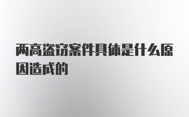 两高盗窃案件具体是什么原因造成的