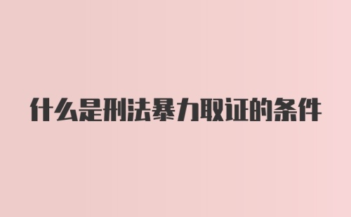 什么是刑法暴力取证的条件