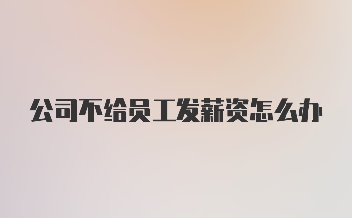 公司不给员工发薪资怎么办