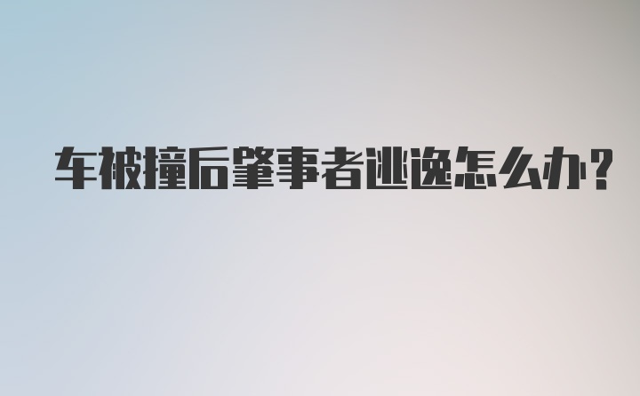 车被撞后肇事者逃逸怎么办？