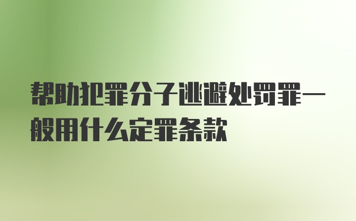 帮助犯罪分子逃避处罚罪一般用什么定罪条款