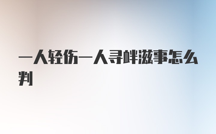 一人轻伤一人寻衅滋事怎么判