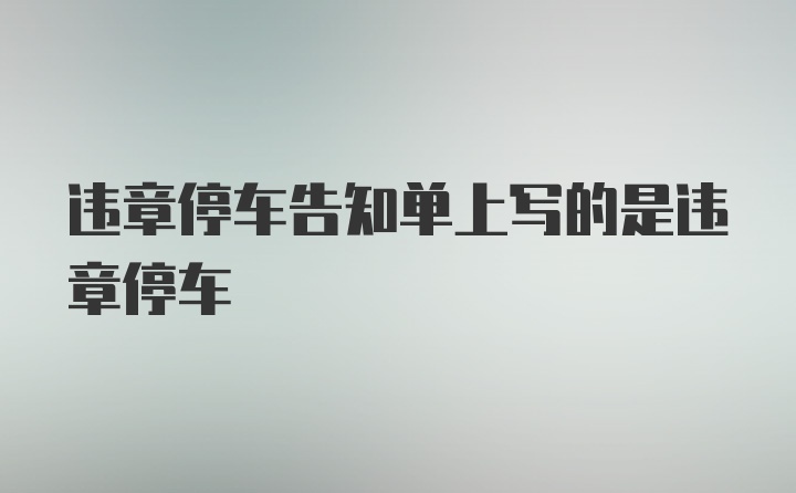 违章停车告知单上写的是违章停车