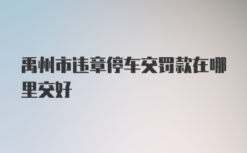 禹州市违章停车交罚款在哪里交好