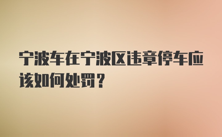 宁波车在宁波区违章停车应该如何处罚？