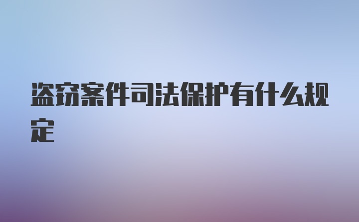 盗窃案件司法保护有什么规定