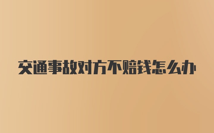 交通事故对方不赔钱怎么办