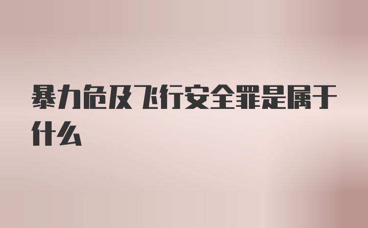 暴力危及飞行安全罪是属于什么