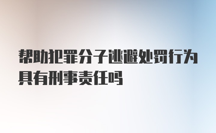 帮助犯罪分子逃避处罚行为具有刑事责任吗