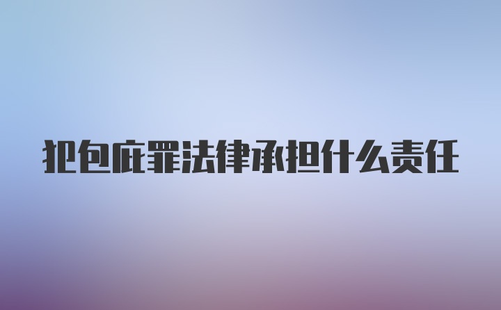 犯包庇罪法律承担什么责任