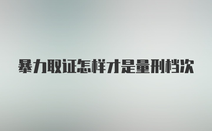 暴力取证怎样才是量刑档次