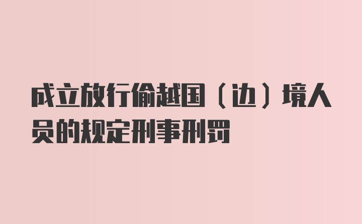 成立放行偷越国（边）境人员的规定刑事刑罚