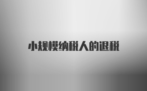 小规模纳税人的退税