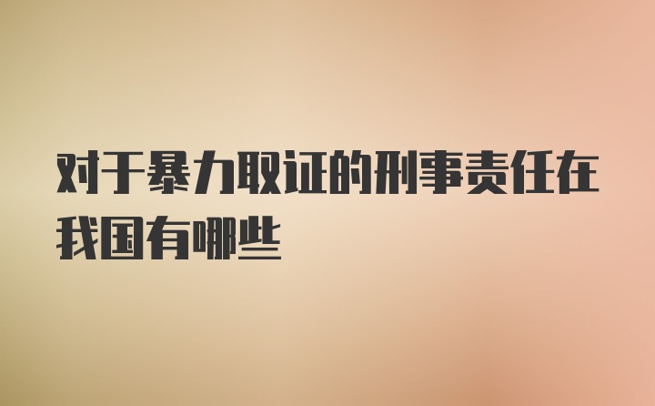 对于暴力取证的刑事责任在我国有哪些