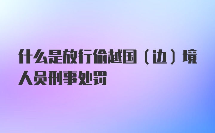 什么是放行偷越国（边）境人员刑事处罚