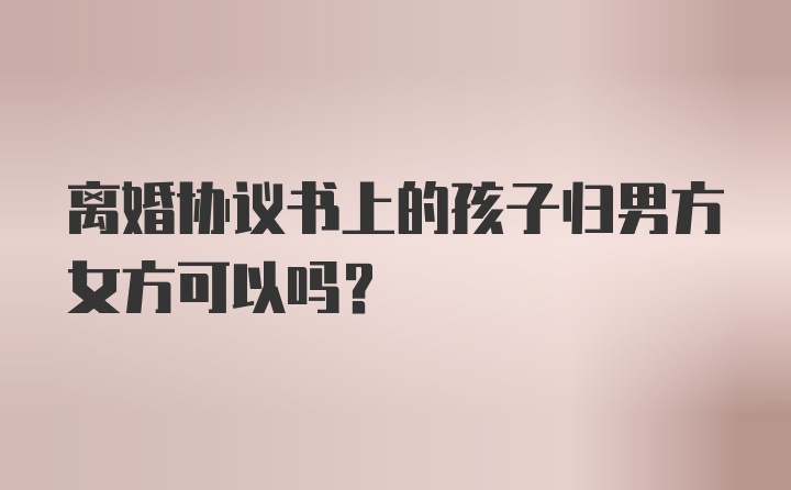 离婚协议书上的孩子归男方女方可以吗？