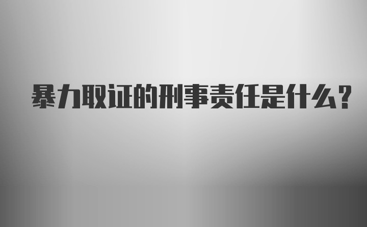 暴力取证的刑事责任是什么？