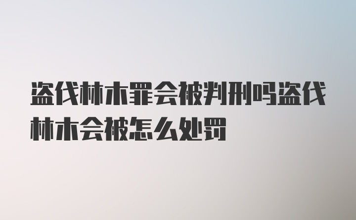 盗伐林木罪会被判刑吗盗伐林木会被怎么处罚